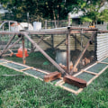 How to Predator-Proof Your Chicken Coop
