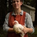 Humanely Stunning Before Slaughter: A Guide for Raising and Harvesting Chickens