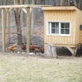 A Comprehensive Guide to Clearing and Leveling Your Site for Building a Chicken Coop