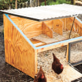 Constructing the Frame and Walls for Your Chicken Coop