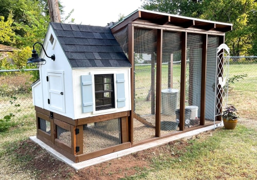 Choosing the Right Materials for Building a Chicken Coop