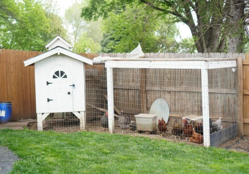 Adding Roofing and Finishing Touches for Your Chicken Coop
