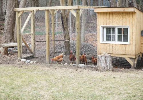 A Comprehensive Guide to Clearing and Leveling Your Site for Building a Chicken Coop