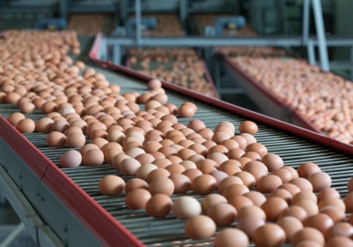 Managing Feed During Molting Season: A Comprehensive Guide for Maximizing Egg Production