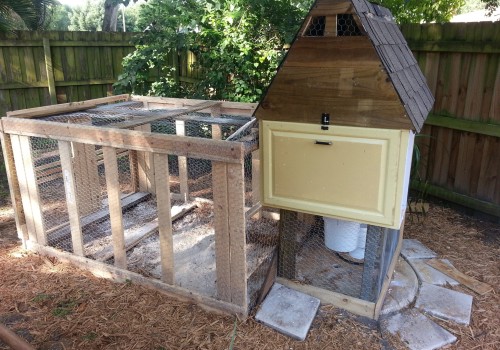 Budget-Friendly Options for Building a Chicken Coop