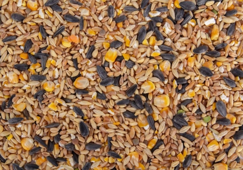 Scratch Grains for Chicken Treats: The Ultimate Guide