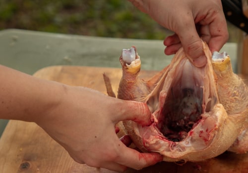 Removing Feathers and Cleaning the Carcass: A Beginner's Guide to Preparing Chicken Meat